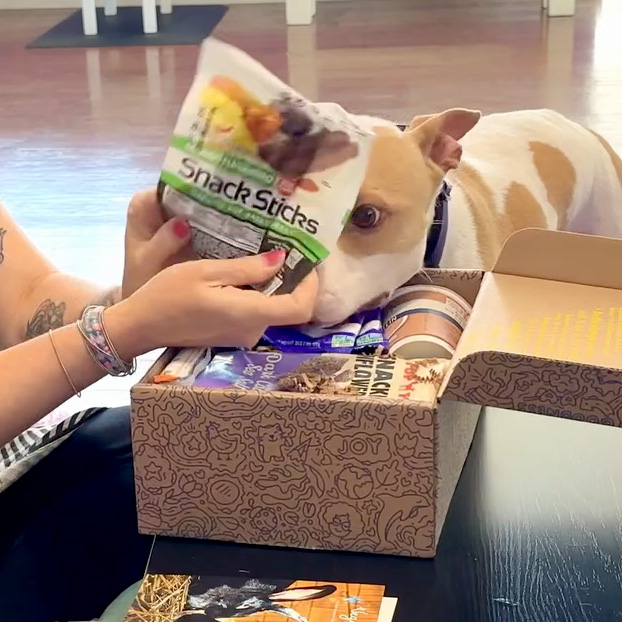 opening my Vegancuts subscription box with my dog.
