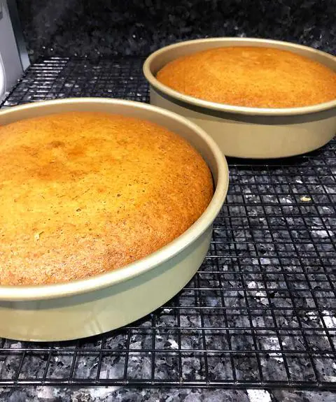 2 baked layers of vegan banana cake