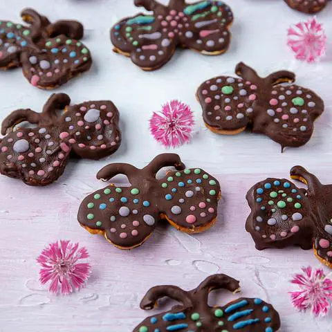 vegan chocolate peanut butter pretzels decorated like butterflies