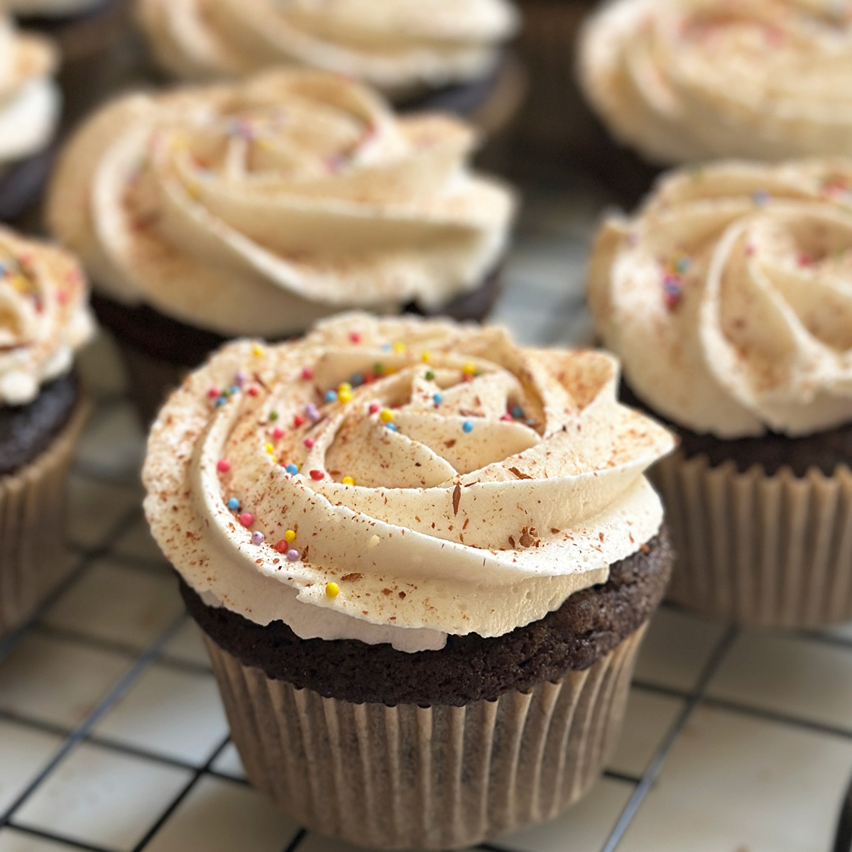 frosted chocolate snickerdoodle cupcakes with cinnamon and sprinkles