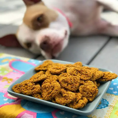 allergen-free homemade dog treats