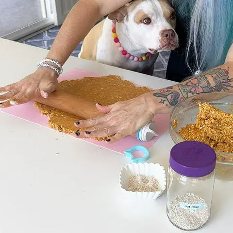 rolling the dog treat dough with a rolling pin while the dog watches.