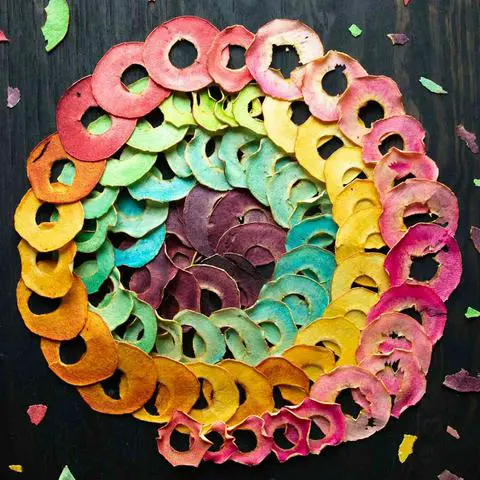 a spiral of dehydrated rainbow apple chips