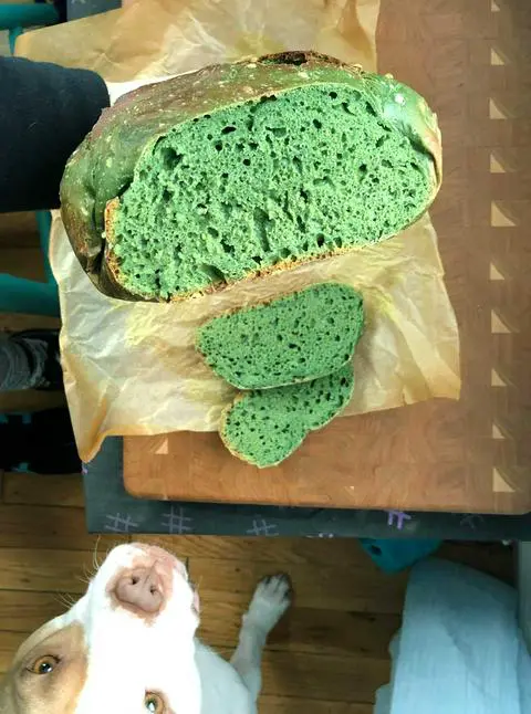 vegan bread using TruColor.