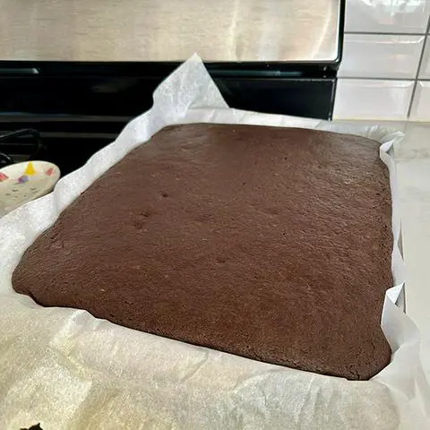 a chocolate cake baked in a sheet pan.