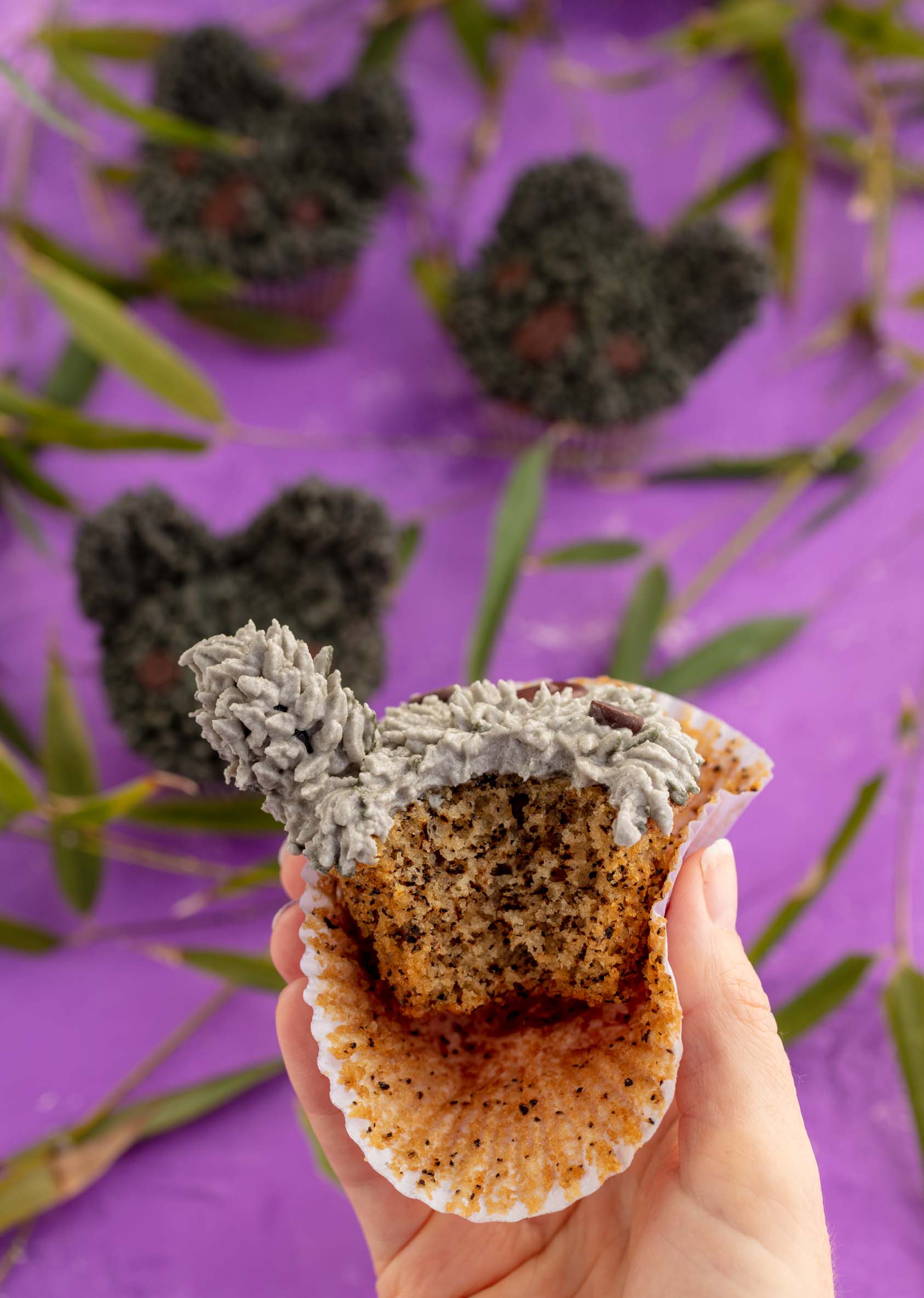 koala cupcake with a bite taken out