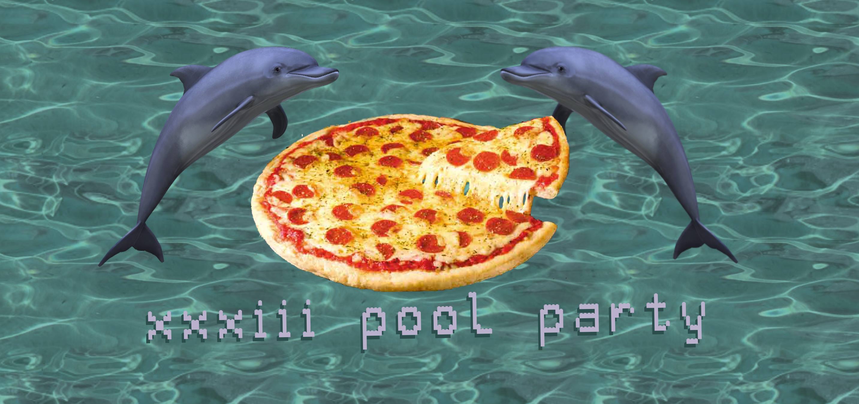 dolphins eating pizza