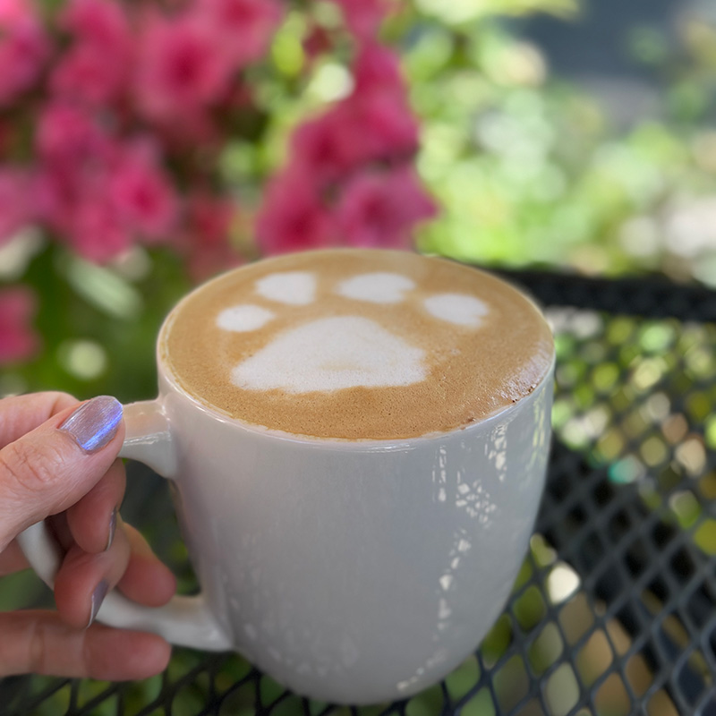 oat milk latte with paw print latte art from Flying Cat Coffee in Portland.