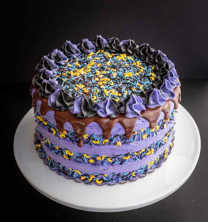 purple cake with a chocolate drip, sprinkle stripes, and black and purple buttercream stars