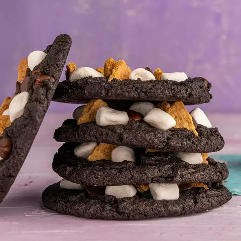 vegan chocolate s’mores cookies.