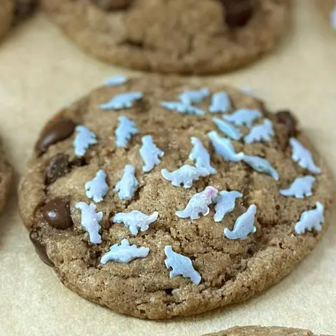 Quality Sprinkles vegan blue dinosaur sprinkles