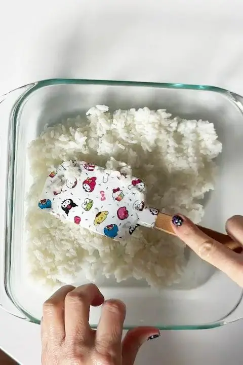 first layer of rice.